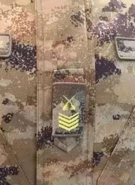 大面外墙建议图案比例协调